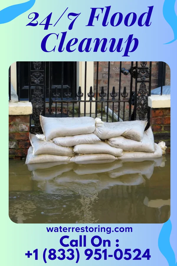 24/7 Flood Cleanup in Carrsville, KY