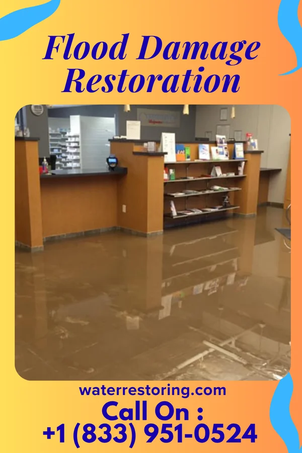 Flood Damage Restoration in Carrsville, KY