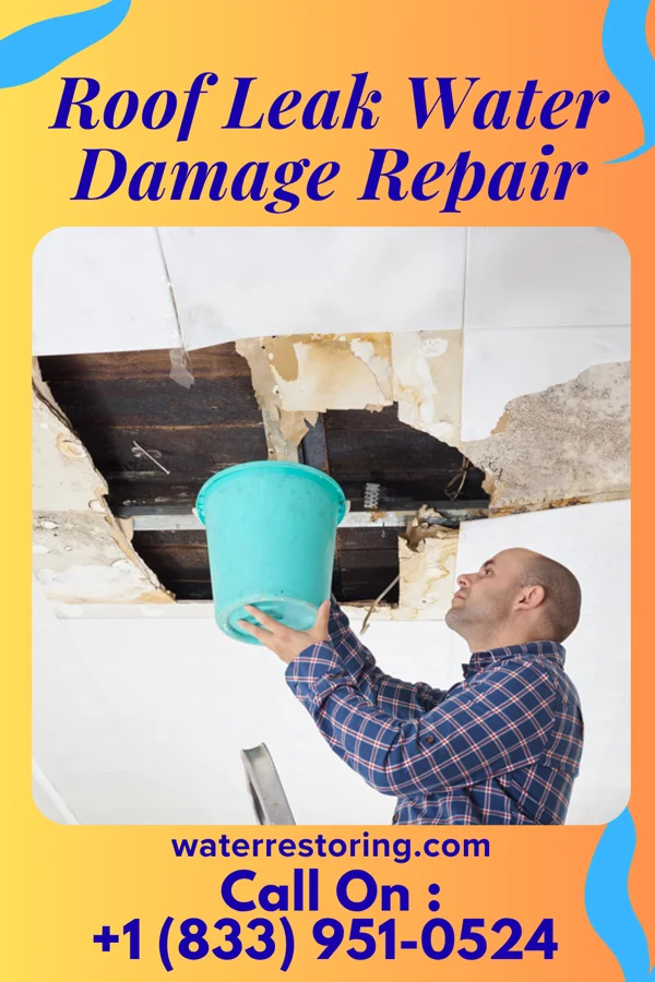 Roof Leak Water Damage Repair in Carrsville, KY
