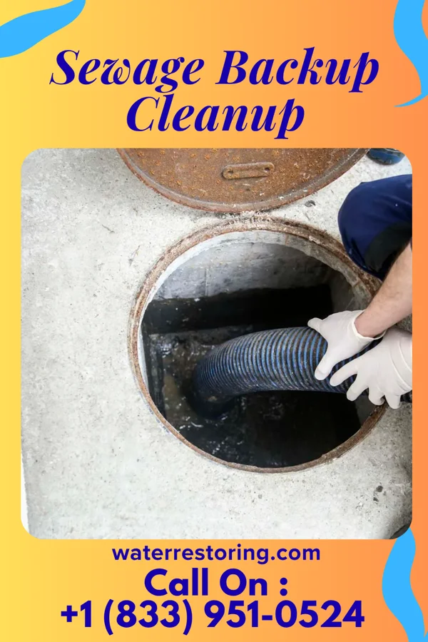 Sewage Backup Cleanup in Carrsville, KY