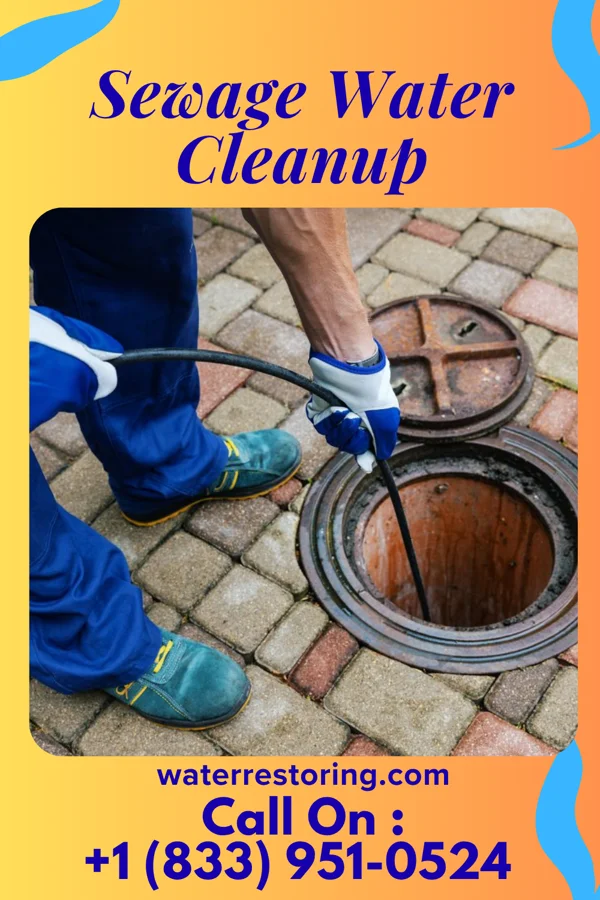 Sewage Water Cleanup in Carrsville, KY